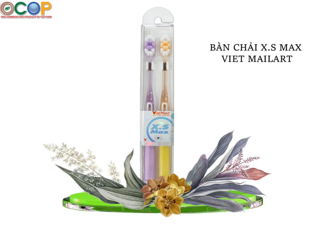 Bàn chải XSMAX 2 chiếc Hộp